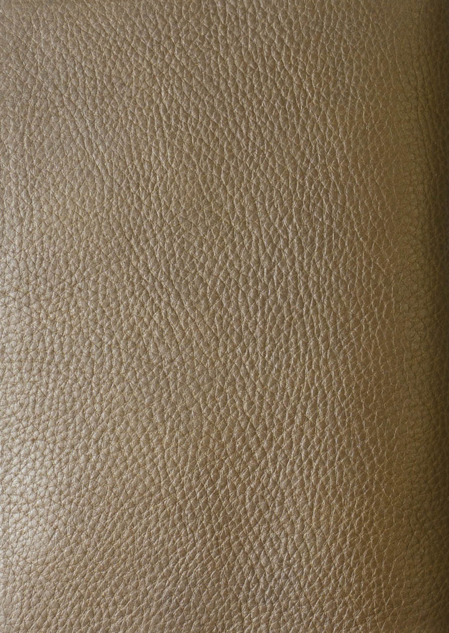 [Japanese Craftsman Made / Vintage] Leather "6 round rings binder" Planner A5 0.79inchs (20mm) ring Vegetable tanned Italian leather